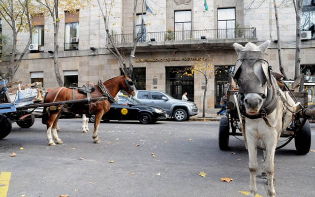 Recicladores urbanos en alerta En el sector cartonero se está viendo