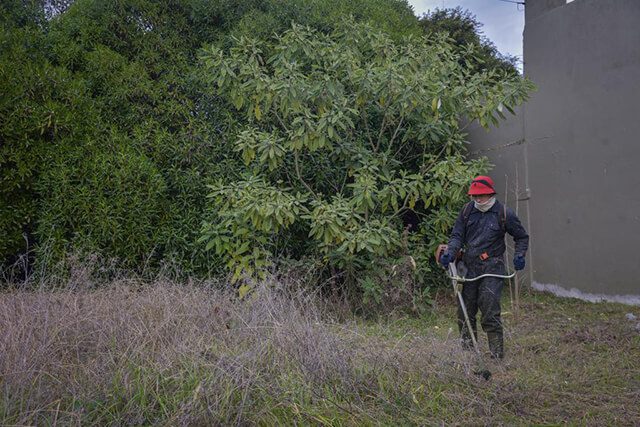 El municipio continúa con sus intervenciones en terrenos privados sin mantenimiento