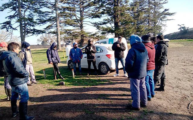 UATRE detectó irregularidades en una empresa del kiwi