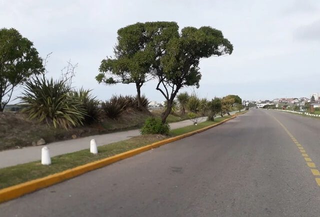 Apand realizará una Maratón de 5K y 10K por su 63° Aniversario en Punta Mogotes