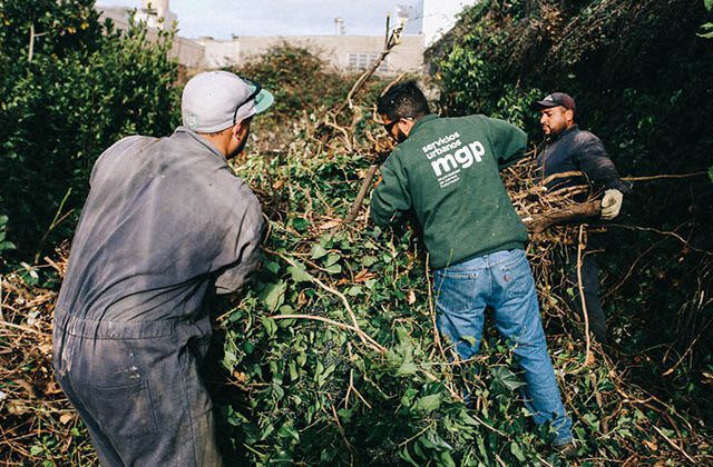 El Municipio extrajo 84 toneladas de residuos de terrenos privados abandonados y cargó los gastos sus propietarios