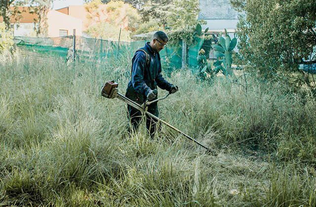 El Municipio retiró 100 toneladas de residuos de terrenos privados abandonados y luego cobró los gastos a los dueños