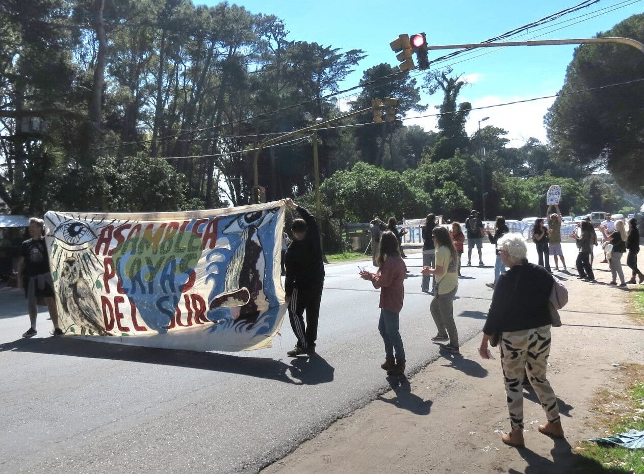 “Basta de robarse las playas”: vecinos protestaron contra el avance de privados en la costa sur
